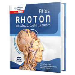 Rhoton - Atlas head, neck and brain
