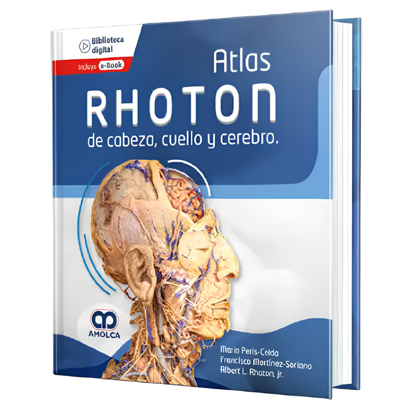 Rhoton - Atlas head, neck and brain