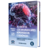 Hemorrhagic and ischemic strokes. Approaches by images, surgical and interventional