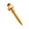 PACK Microtornillo OBS 2x12 mm sin Agujero Titanium – TAD Ortodóntico