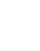 Instrumental